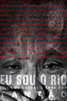 Eu sou o Rio documentary poster