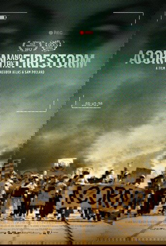 Acorn and the Firestorm poster