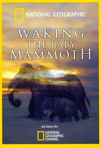 Waking the Baby Mammoth documentary poster