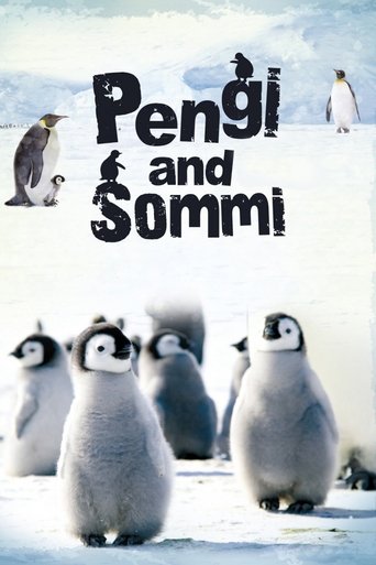 Pengi and Sommi documentary poster
