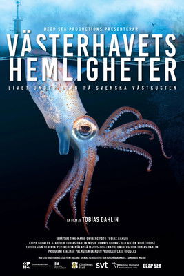 Västerhavets Hemligheter documentary poster