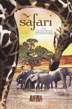 The Last Lion of Liuwa documentary poster