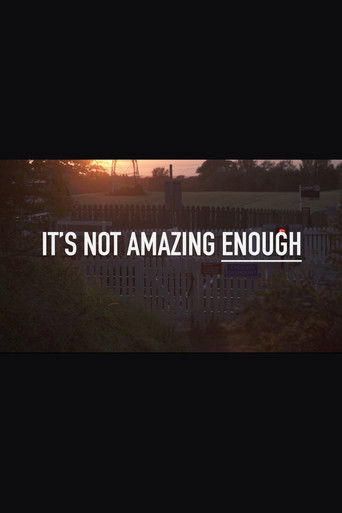 It's Not Amazing Enough documentary poster