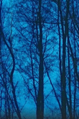 Desastres naturales documentary poster