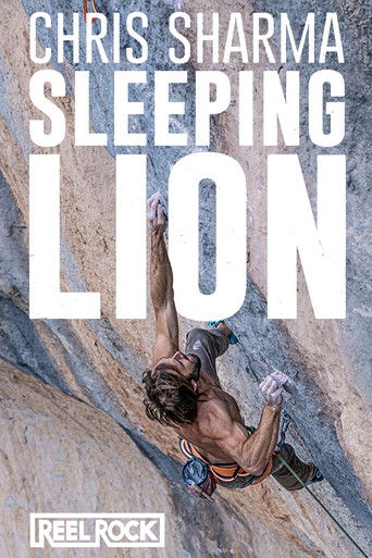 Sleeping Lion poster
