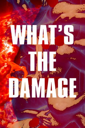 What's The Damage documentary poster