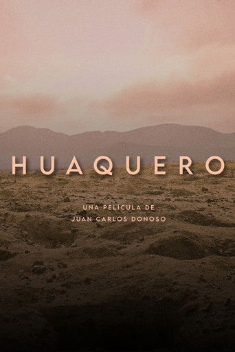 Huaquero documentary poster