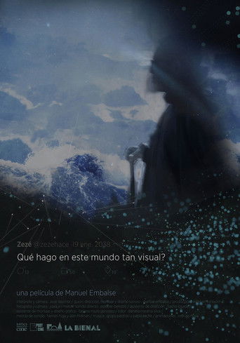 What I'm Doing In This Visual World? documentary poster