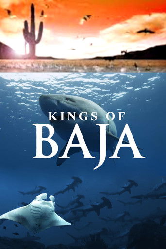 Kings of Baja documentary poster