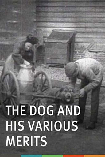 The Dog and His Various Merits documentary poster