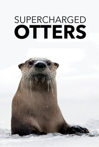 Supercharged Otters documentary poster