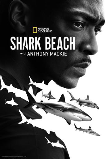 Shark Beach with Anthony Mackie documentary poster
