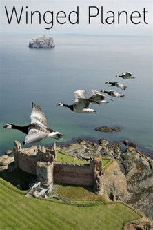 Winged Planet documentary poster