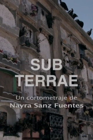 Sub Terrae documentary poster