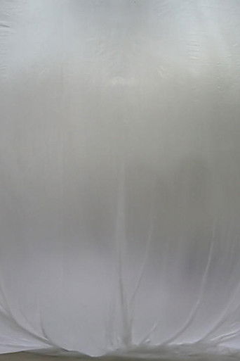 Winfried documentary poster