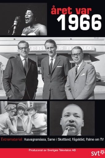 Året var 1966 documentary poster