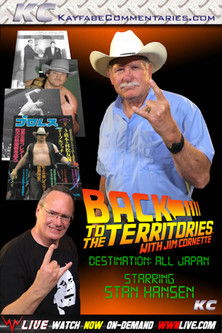 Back To The Territories: All Japan documentary poster