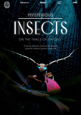Mysterious Origins of Insects documentary poster