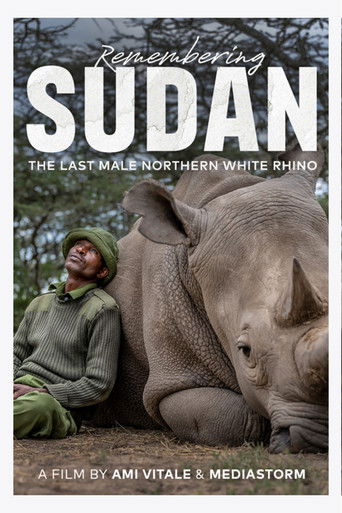 Remembering Sudan documentary poster