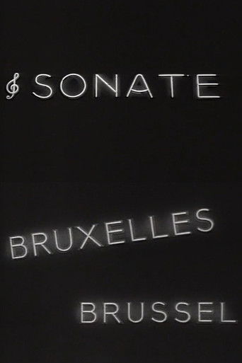 Sonate in Brussel documentary poster