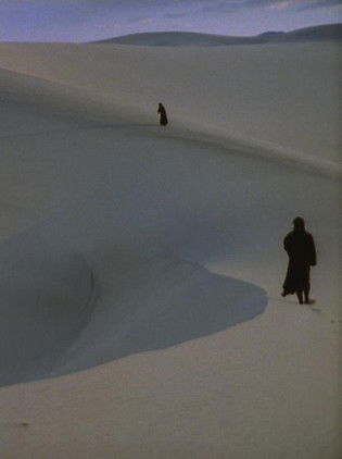 A Distant Echo documentary poster