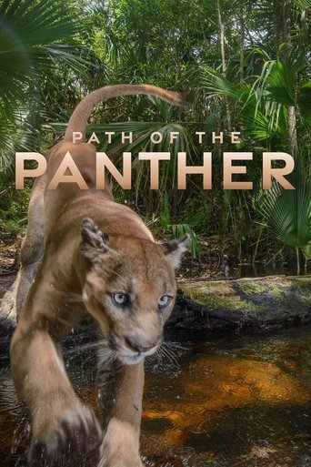 Path of the Panther documentary poster