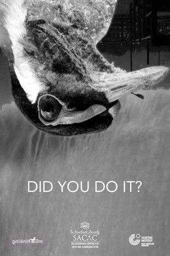 Did You Do It? documentary poster