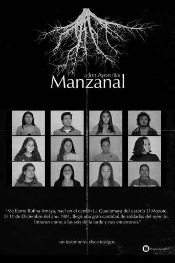 Manzanal documentary poster