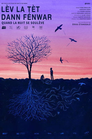 In the Billowing Night documentary poster