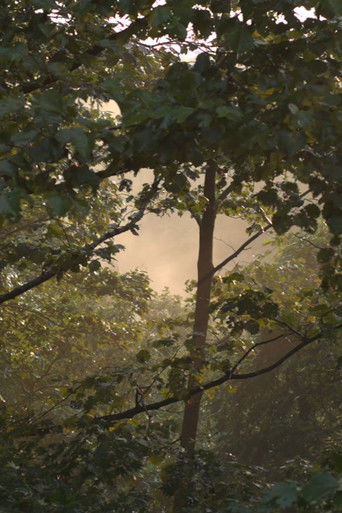 After Us The Deluge documentary poster