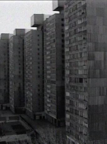 From My Window documentary poster