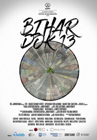 Bihar dok 13 documentary poster