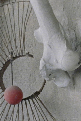 Enigmatic Whisper documentary poster