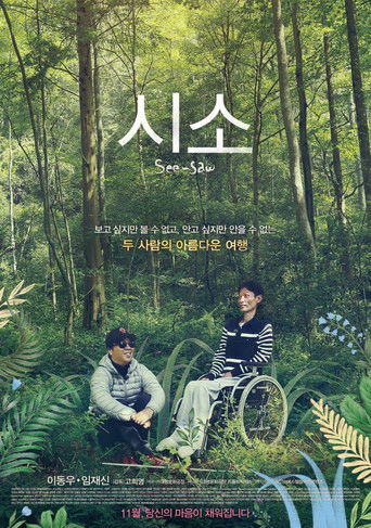 See-Saw documentary poster