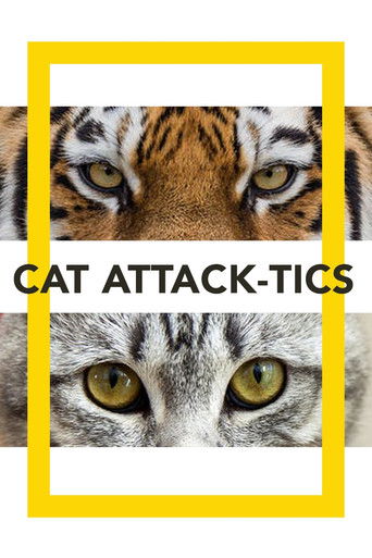 Cat Attack-Tics documentary poster