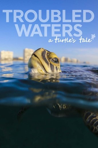 Troubled Waters: A Turtle's Tale documentary poster