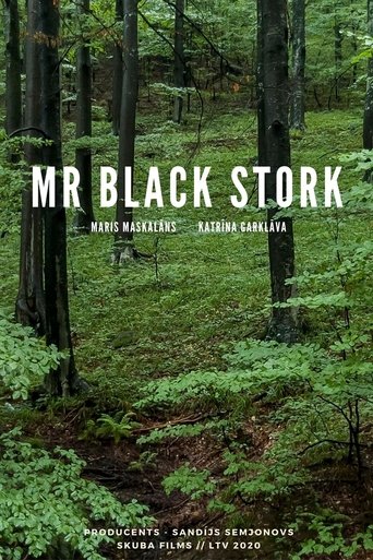 Mr Black Stork documentary poster