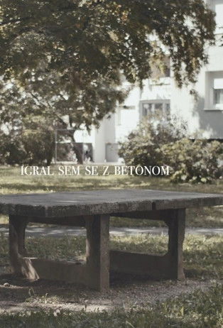 Playing with Concrete documentary poster