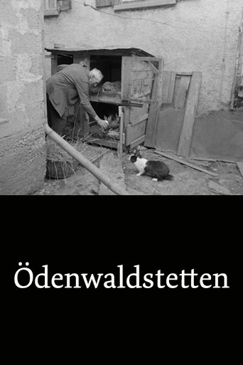 Ödenwaldstetten documentary poster