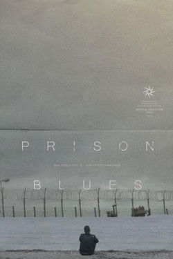 Prison Blues documentary poster