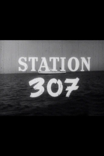 Station 307 documentary poster