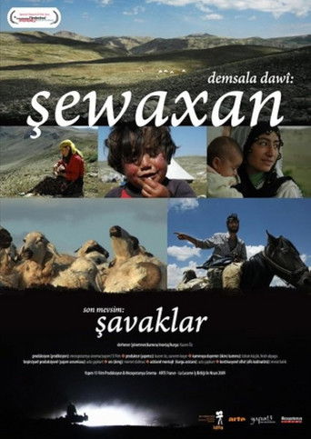 The Last Season: Shawaks documentary poster