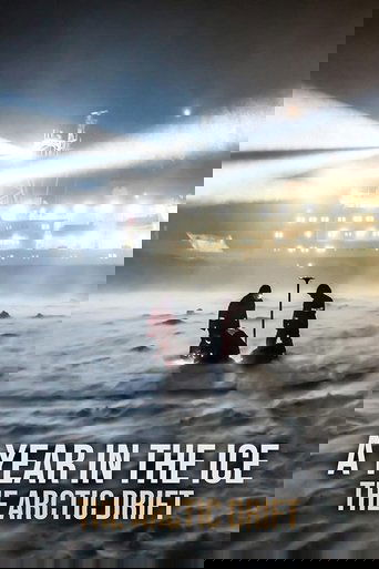 A Year in the Ice: The Arctic Drift documentary poster