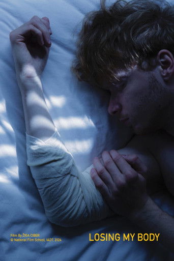 Losing My Body documentary poster