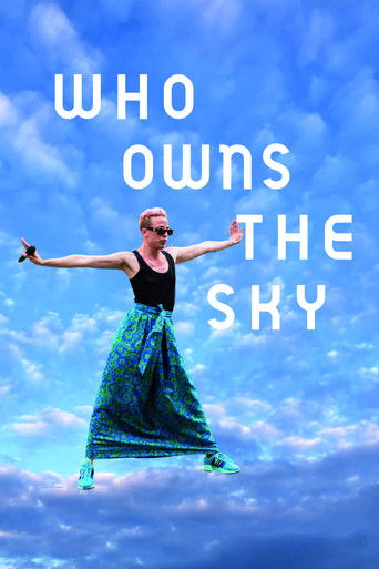 Who Owns the Sky documentary poster