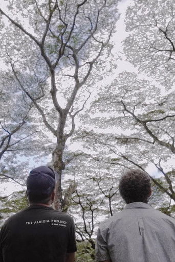 Paradigm Now: The Albizia Project documentary poster