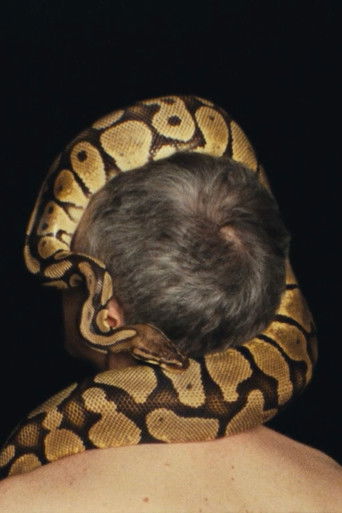 The Seismic Form documentary poster