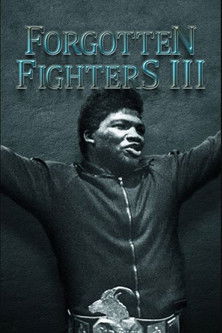 Forgotten Fighters III documentary poster