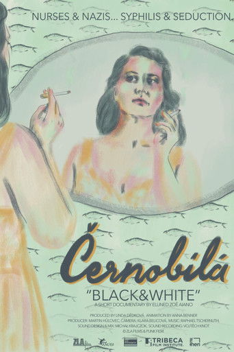 Black&White documentary poster