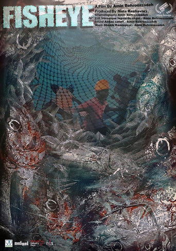 Fish Eye documentary poster